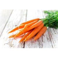Выращивание вкусной моркови