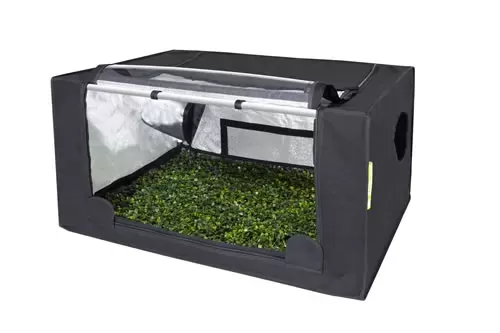 201_probox-propagator-m