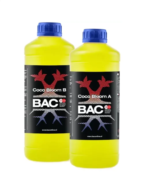 BAC bloom coco a+b 1L
