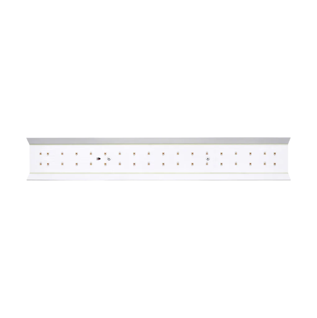 Rootster-Add-Light-60w-Red_1-1020x1024