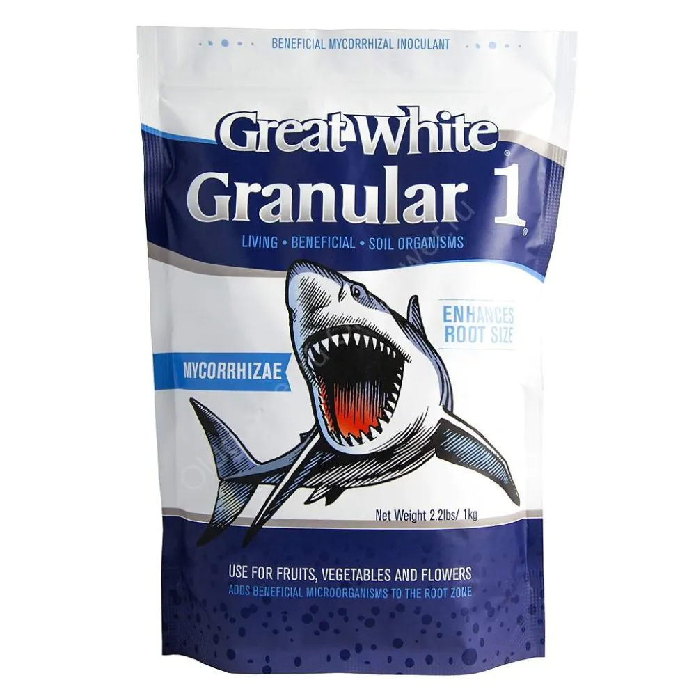 greatwhite_1