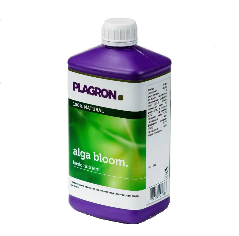 plagronalgablooom1l