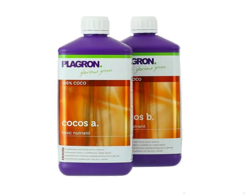 plagroncocos1l