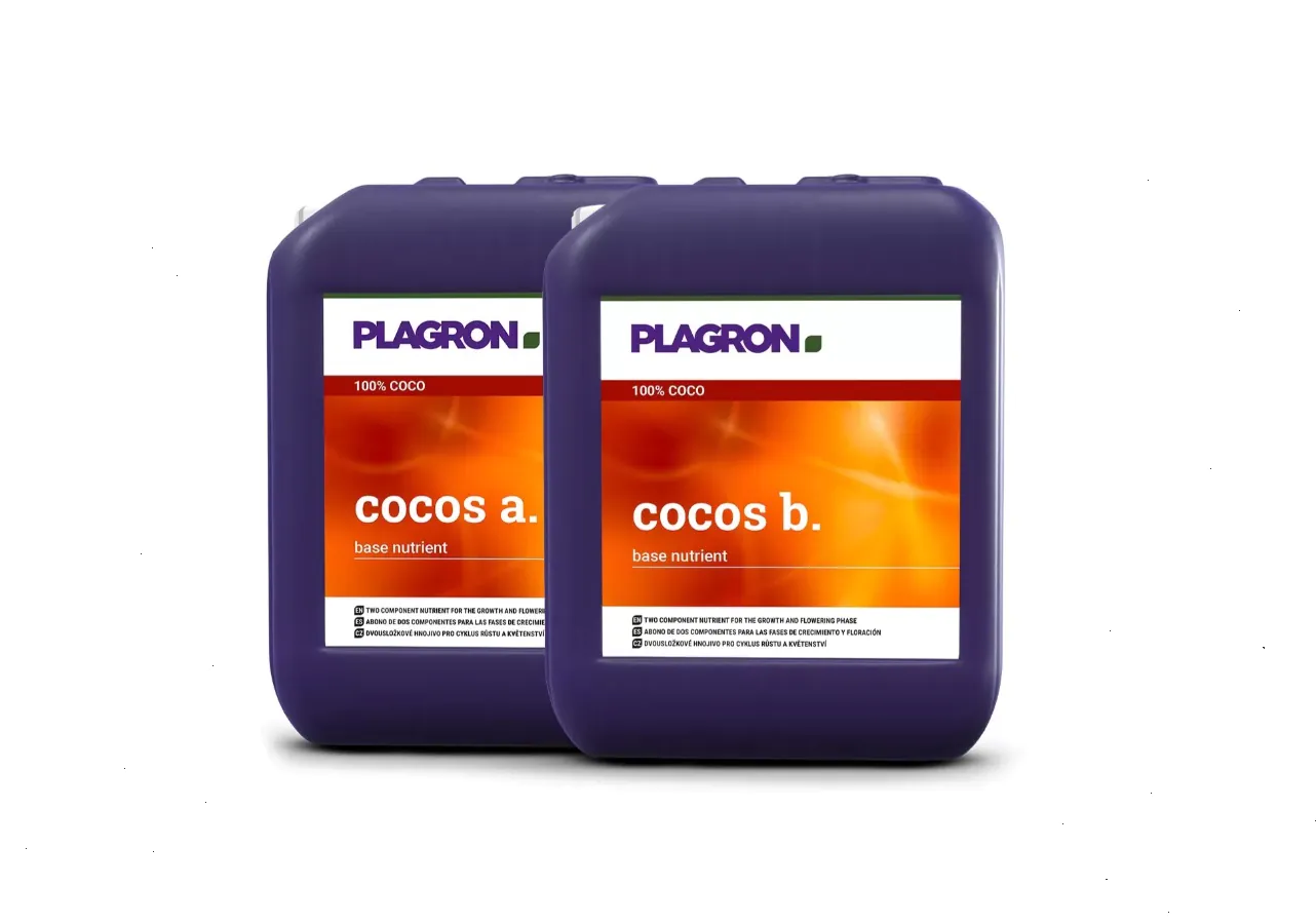 plagroncocos_5l