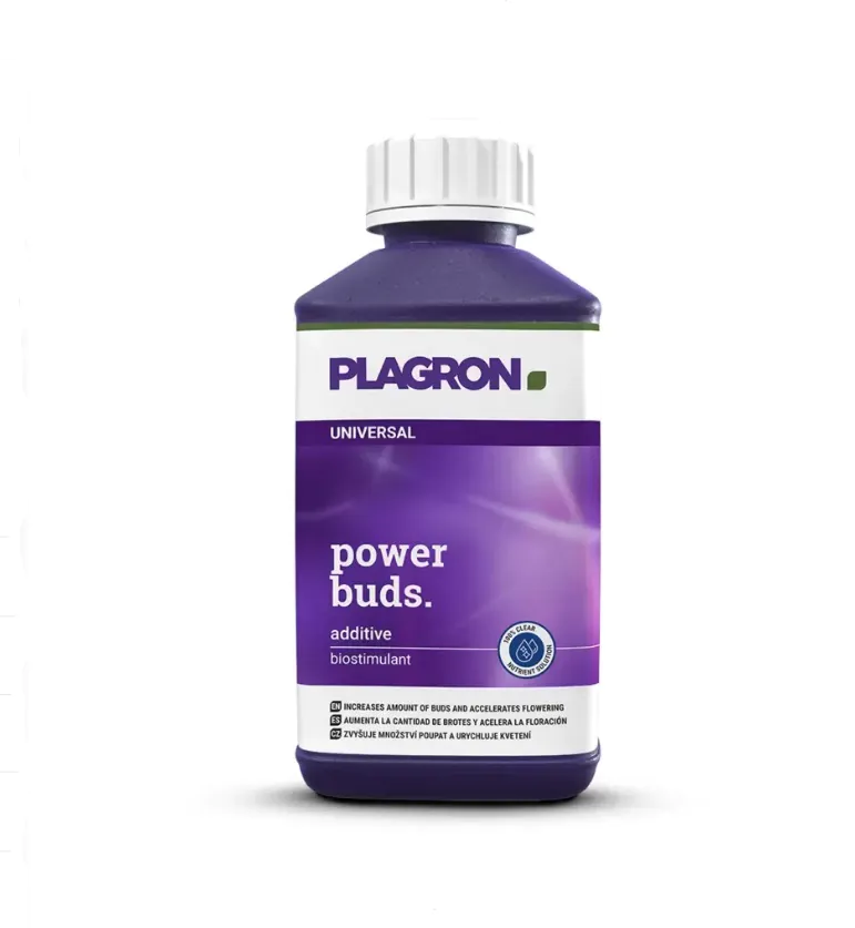 plagronpowerbuds250
