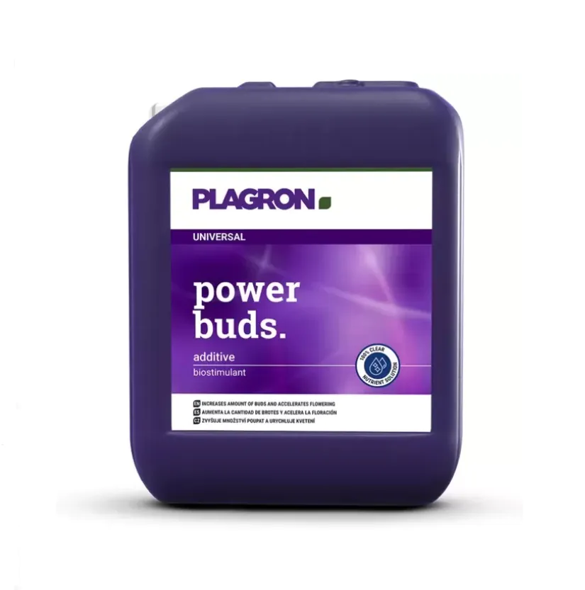 plagronpowerbuds5