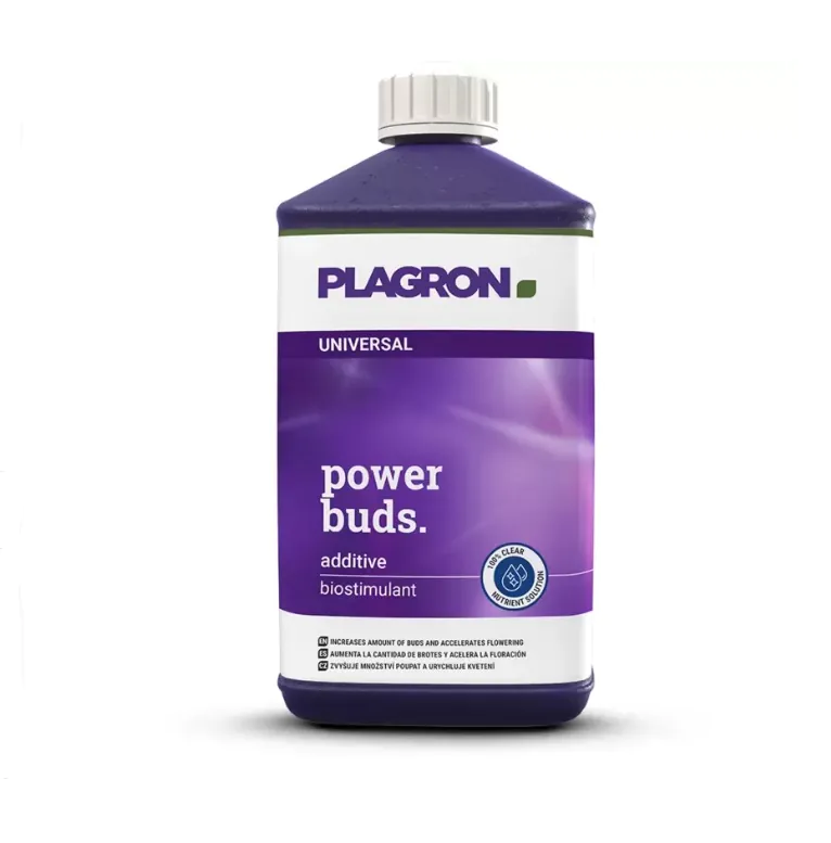 plagronpowerbuds_1