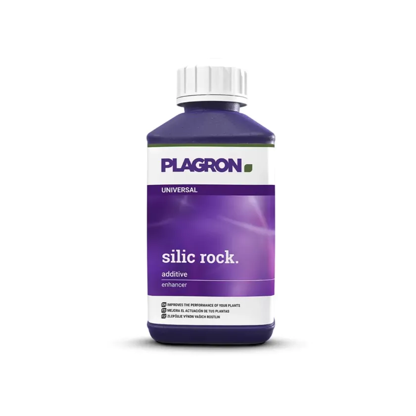 plagronsilic250