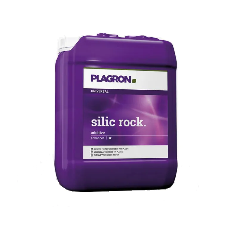 plagronsilic5
