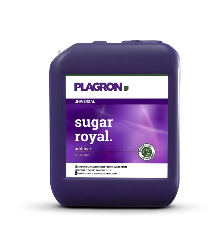 plagronsugarr