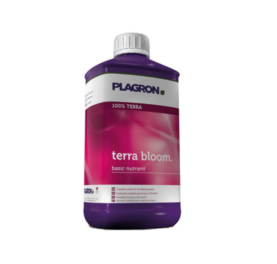 plagronterrabloom1