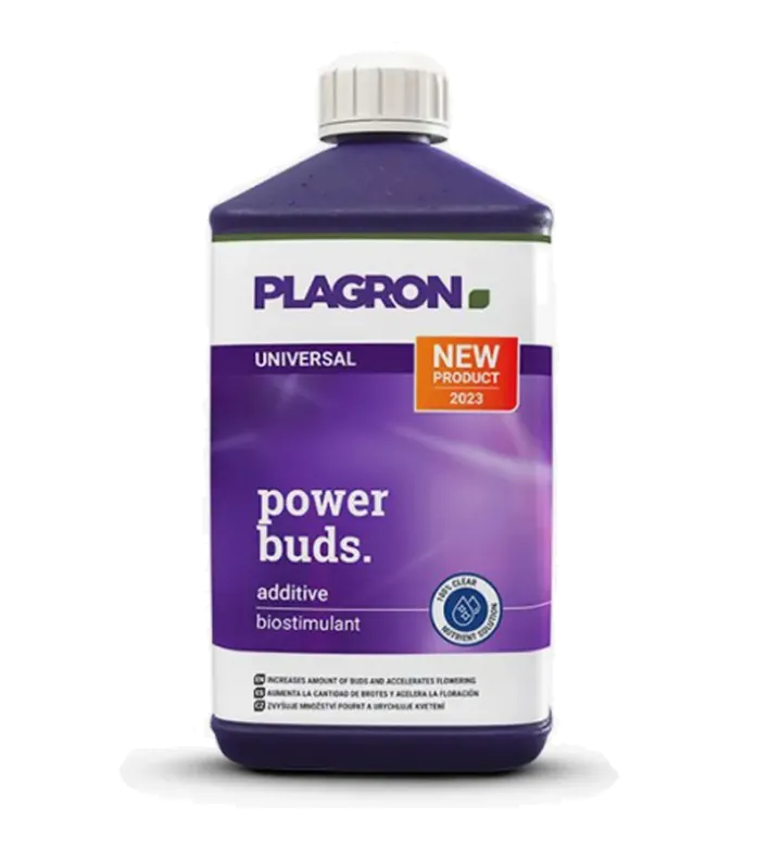 plagronpowerbuds500